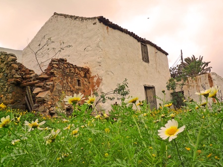 Rustic restored ruin in Fuerteventura with foreground flowersの写真素材