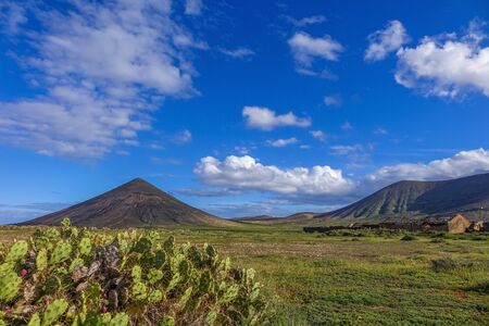 Cactus and Mountain view in La Oliva Fuerteventura, Las Palmas, Canary Islands, Spainの写真素材