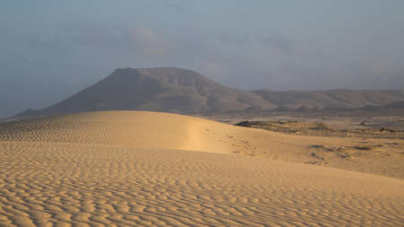 Corralejo beach, National-park, Corralejo, Fuerteventura, Canary-Islands, Spainの写真素材