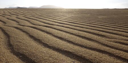 Sand pattern, close up under a low sun, Park Natural, Corralejo, Fuerteventura, Canary islandsの写真素材