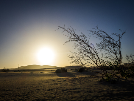 sunset with sand patterns after wind and rain on the Nature reserve, Park Natural, Corralejo, Fuerteventura, Canary Islands, Spain.の写真素材