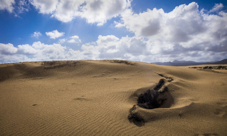 Sand patterns after wind and rain on the Nature reserve, Park Natural, Corralejo, Fuerteventura, Canary Islands, Spain.の写真素材
