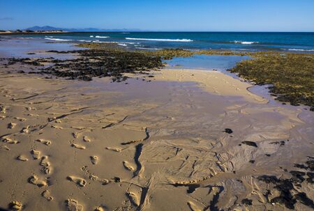 Bright sun on Corralejo beach, Fuerteventua, Canary Islands, Spainの写真素材
