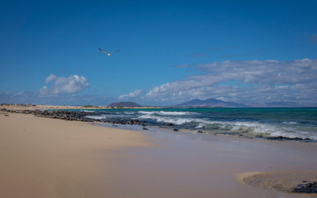 Bright sun on Corralejo beach, Fuerteventua, Canary Islands, Spainの写真素材