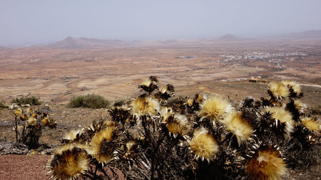 Mountain views in Fuerteventura in the Canary-islandsの写真素材