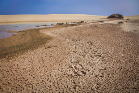 Corralejo natural reserve after wind and rain, Fuerteventua, Canary Islands, Spainの写真素材