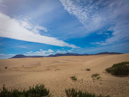 Corralejo natural reserve, with low sun and dramatic lighting, Fuerteventua, Canary Islands, Spainの写真素材