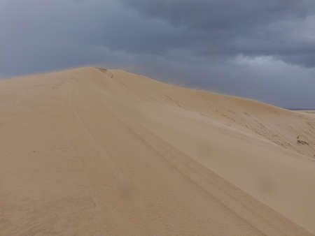 Natural-park of Corralejo under a grey sky with a sandstorm in Fuerteventua the Canary- Islands, Spainの写真素材