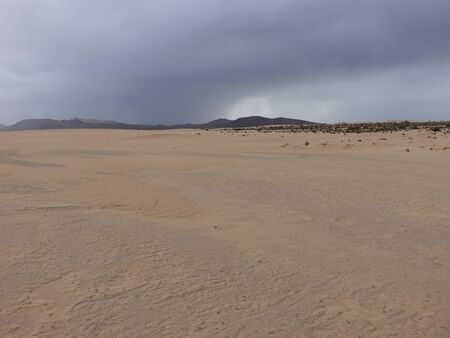 Natural-park of Corralejo under a grey sky with a sandstorm in Fuerteventua the Canary- Islands, Spainの写真素材