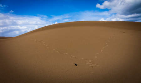 Natural-park Corralejo in Fuerteventua the Canary Islands, Spainの写真素材
