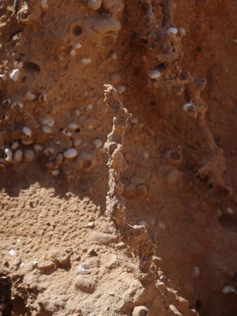 Natural sand scaltures in Fuerteventura the canary-islands Spainの写真素材