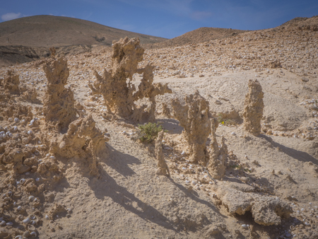 Natural sand scaltures in Fuerteventura the canary-islands Spainの写真素材