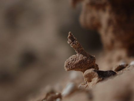 The ravine of the enchanted or lover. Fossil dunes carved by water in La Oliva, Fuerteventura,...