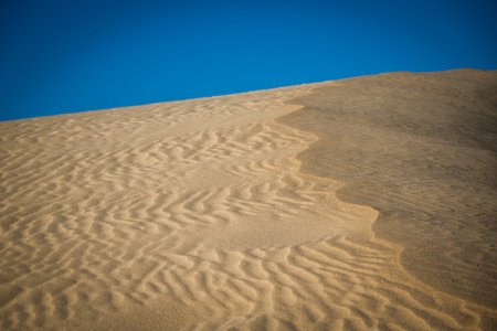 Low sun on the natural Park in Corralejo the canary-islands Spain