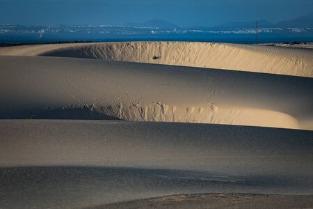 Low sun on the natural Park in Corralejo the canary-islands Spainの写真素材