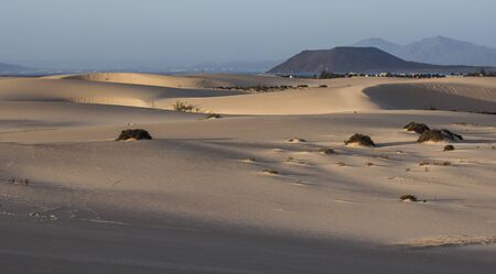 Low sun on the natural Park in Corralejo the canary-islands Spainの写真素材