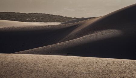 Low sun on the natural Park in Corralejo the canary-islands Spainの写真素材