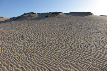 Low sun on the natural Park in Corralejo the canary-islands Spain