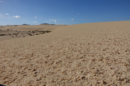 After rain in the natural Park in Corralejo the canary-islands Spainの写真素材