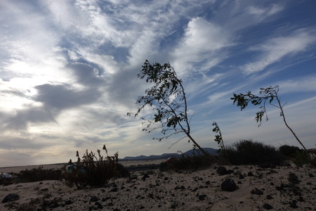 Dramatic beautiful interesting sky in evening light over the dunes in the Natural park of Corralejo, Fuerteventura, Las Palmas, Canary islands, Spain.の写真素材