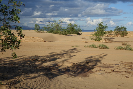 Dramatic beautiful interesting sky in evening light over the dunes in the Natural park of Corralejo, Fuerteventura, Las Palmas, Canary islands, Spain.の写真素材