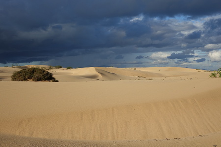 Dramatic beautiful interesting sky in evening light over the dunes in the Natural park of Corralejo, Fuerteventura, Las Palmas, Canary islands, Spain.の写真素材