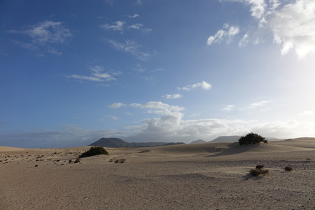 Low sun late afternoon,showing textures and patterns in the sand in the natural park, Corralejo, Fuerteventura, Canary Islands, Spainの写真素材
