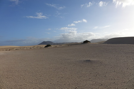 Low sun late afternoon,showing textures and patterns in the sand in the natural park, Corralejo, Fuerteventura, Canary Islands, Spainの写真素材