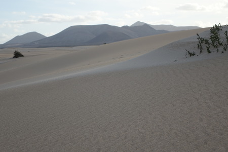 Low sun late afternoon,showing textures and patterns in the sand in the natural park, Corralejo, Fuerteventura, Canary Islands, Spain.の写真素材