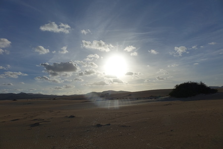 Low sun late afternoon,showing textures and patterns in the sand in the natural park, Corralejo, Fuerteventura, Canary Islands, Spain.の写真素材