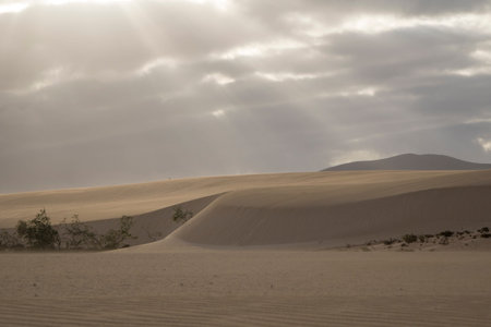 Low evening light creating beautiful textures shapes and patterns in the sand in the natural park...