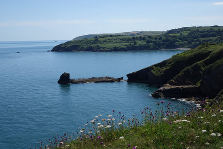 Low sun over Berry Head Brixham with a calm seaの写真素材