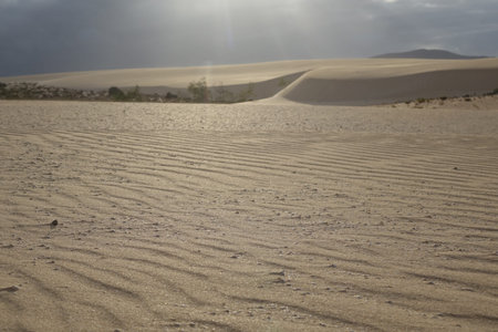 Low evening light creating beautiful textures shapes and patterns in the sand in the natural park...