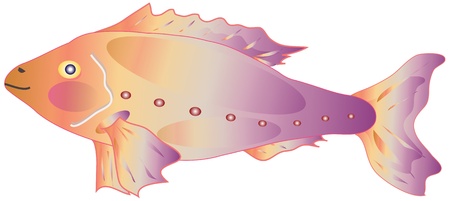 decorative fishのイラスト素材