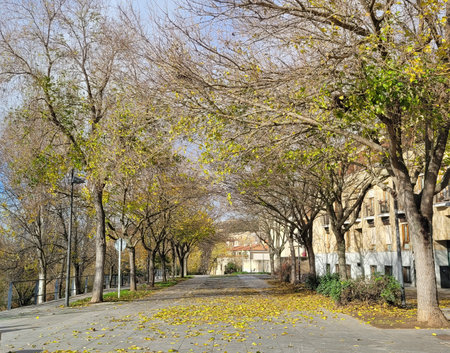 Look at the Castilian autumn, a park next to the Tormes River, where the natural attributes, trees, bushes and buildings stand out. Photo taken in early autumn in Salamanca, Castilla y Leon. Spainの写真素材