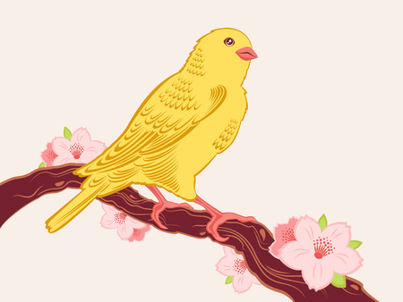 Hand drawn bird sitting on a branch of cherry in blossomのイラスト素材