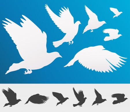 Graceful flying birds silhouettes for your design - isolatedのイラスト素材