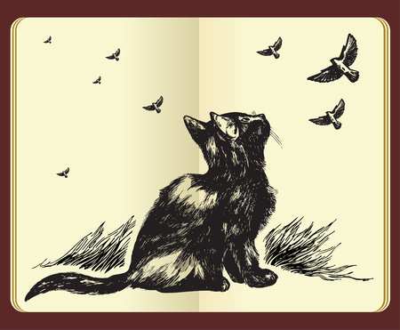 Hand drawn cat looking up at flying birds in the sky - high quality drawingのイラスト素材
