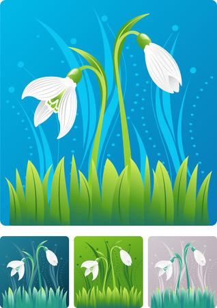 snow drops colorfulのイラスト素材