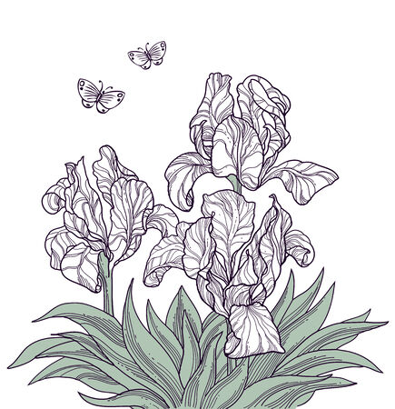 hand drawn flowers and butterflies isolated line artのイラスト素材