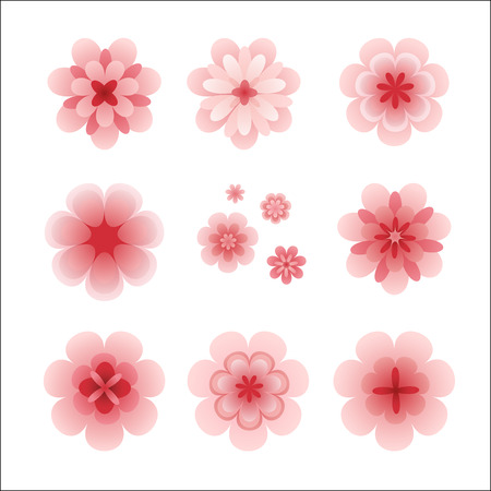 beautiful isolated flowers collectionのイラスト素材