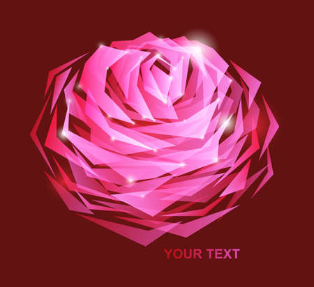 beutiful rose backgroundの写真素材