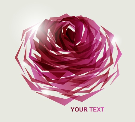 abstract rose backgroundの写真素材