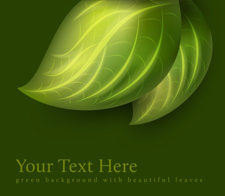 green leaves decorationのイラスト素材