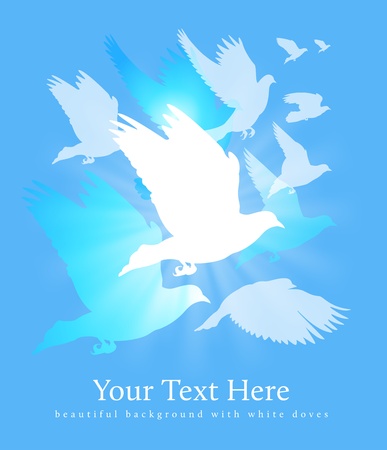 blue background with white birdsのイラスト素材