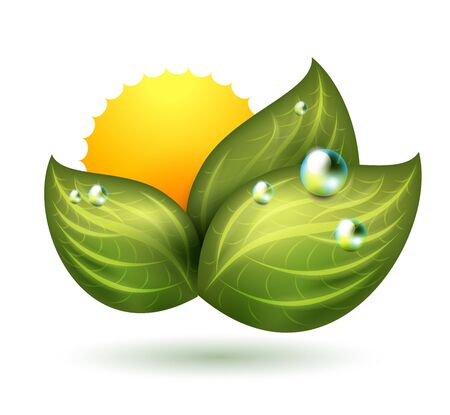 green symbol with leaf and sunのイラスト素材