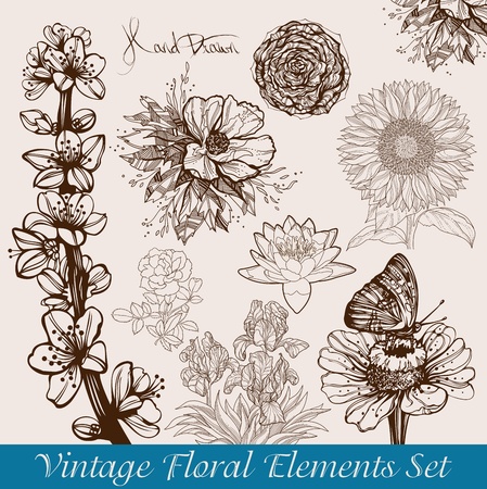 vintage floral backgrounds set - vector illustrationのイラスト素材