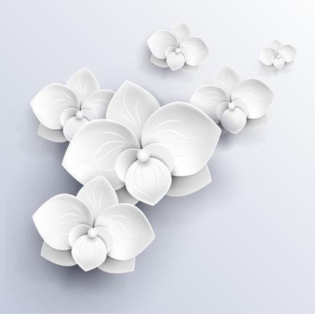 paper flowers background - white orchids vector illustrationのイラスト素材