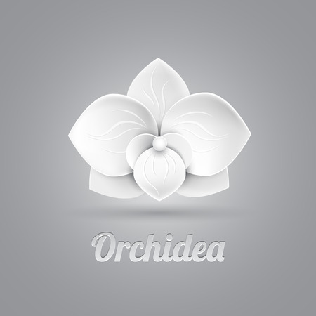 flower logo icon vector - whiteのイラスト素材