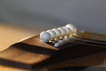 Guitar bridgeの写真素材